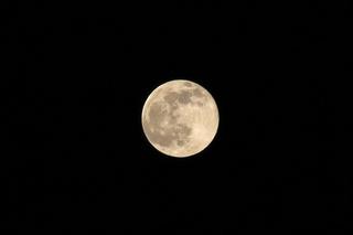 b924a570-10a3-43b2-82f9-fc9fdeeab47e_l.jpg